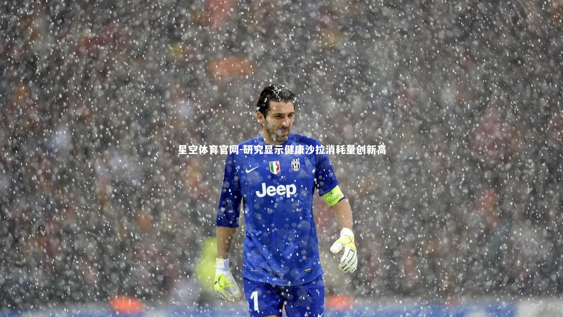 星空体育官网-研究显示健康沙拉消耗量创新高